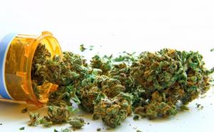 Hoće li u BiH ove godine biti legaliziran kanabis u medicinske svrhe?