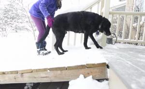 Poštar izgradio rampu za ostarjelog komšijinog psa