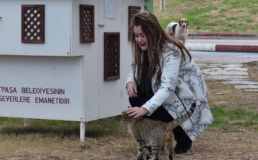 Briga za životinje: Općina montirala kućice za mačke s ulice