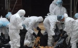 Novi slučaj ptičje gripe u Hrvatskoj: Virus potvrđen u blizini Velike Gorice