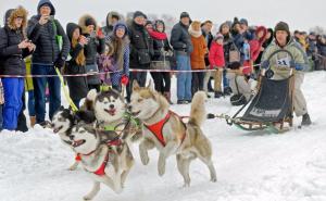 Ukrajina: Utrka pasa za vuču saonica