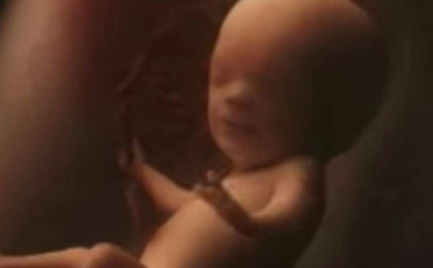 Kako izgleda devet mjeseci trudnoće u samo četiri minute videa