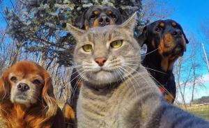 Ovo je najbolji selfie u 2017. godini