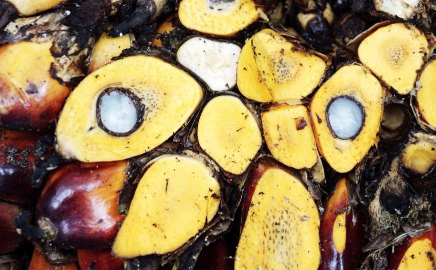 Kažu da nas truje u Nutelli: Sve što trebate znati o palminom ulju