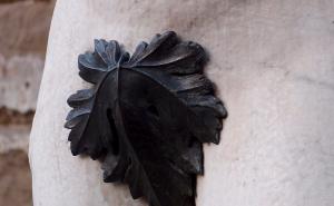 Šta se dešava s penisom kada su temperature vani niske