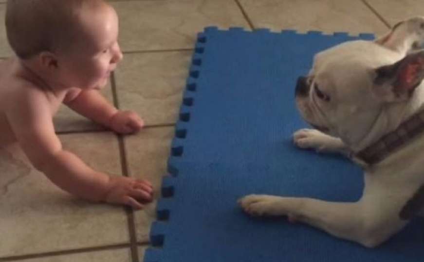 Pas uporno pokušava nasmijati bebu