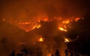Najveći u modernoj historiji: Požar "progutao" 238.000 hektara šume i 1.000 kuća