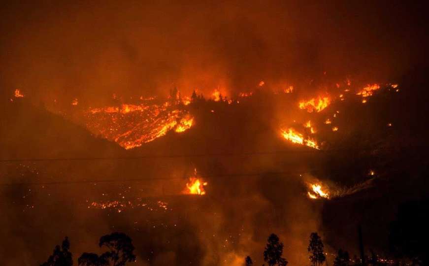 Najveći u modernoj historiji: Požar "progutao" 238.000 hektara šume i 1.000 kuća