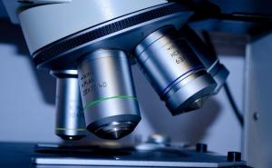 Stariji i od majmuna: Upoznajte najstarijeg čovjekovog pretka