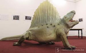 Dimetrodon - čudesno biće čiji se model od danas nalazi u Zemaljskom!