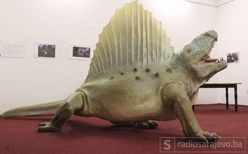 Dimetrodon - čudesno biće čiji se model od danas nalazi u Zemaljskom!