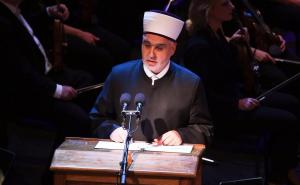 Poruka Bošnjacima u Njemačkoj: Ne nasjedajte na provokacije nasilne manjine