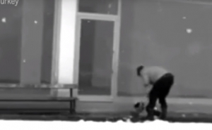 Jaknom umotao promrzlog psa i milionima zagrijao srca  