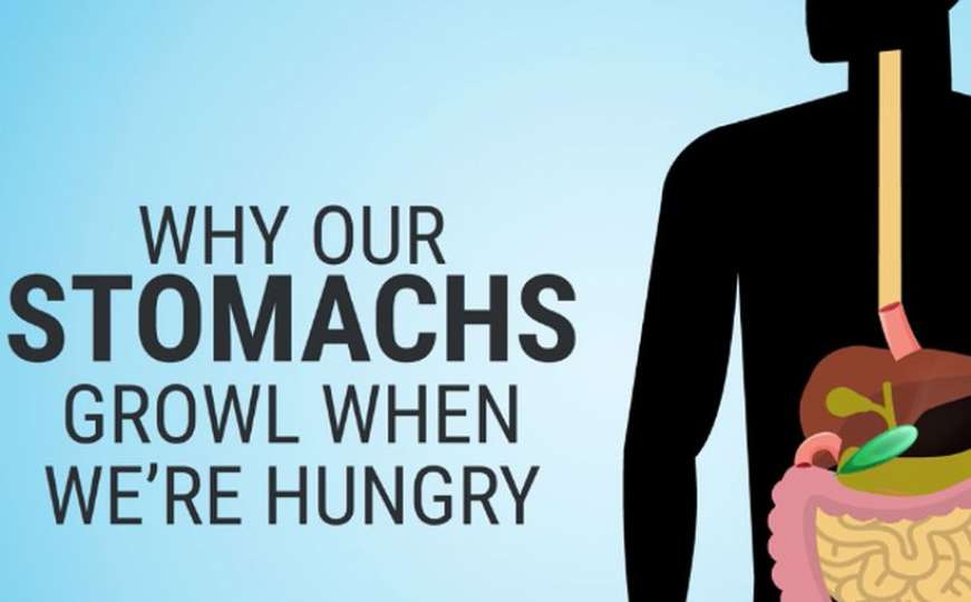 Zašto nam stomak “krči” kad smo gladni