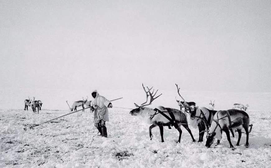 Otputujte na Sjeverni pol uz sjajne fotografije Nicolasa Mingassona