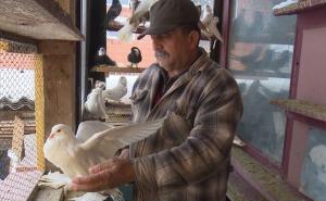 Životinjsko carstvo Besima Gubelića: Odvaja od usta da prehrani ljubimce