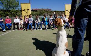 Dogs Trust nagrađuje osnovce u Kantonu Sarajevo, a ove godine i u Kantonu 10