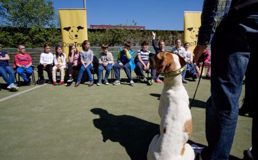 Dogs Trust nagrađuje osnovce u Kantonu Sarajevo, a ove godine i u Kantonu 10