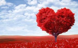 Zaljubljeni, danas je vaš dan: Sretno Valentinovo!