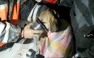 Učenici napravili robotsku ruku i nakon 11 dana izvukli zaglavljeno štene