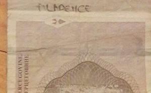 Kad Hazim počasti mladence