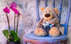 Kako utjecati na cvjetanje orhideje?