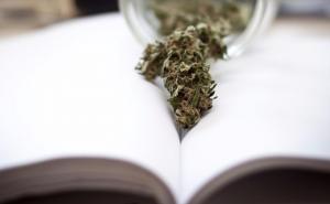 Dokazano: 'Pametna djeca' češće puše marihuanu