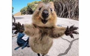 Pohrlio mu u zagrljaj: Fotografija koja je obišla svijet i osvojila milione