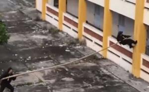 Kakve Foke i Spetsnaz: Pogledajte kako to rade vijetnamski specijalci