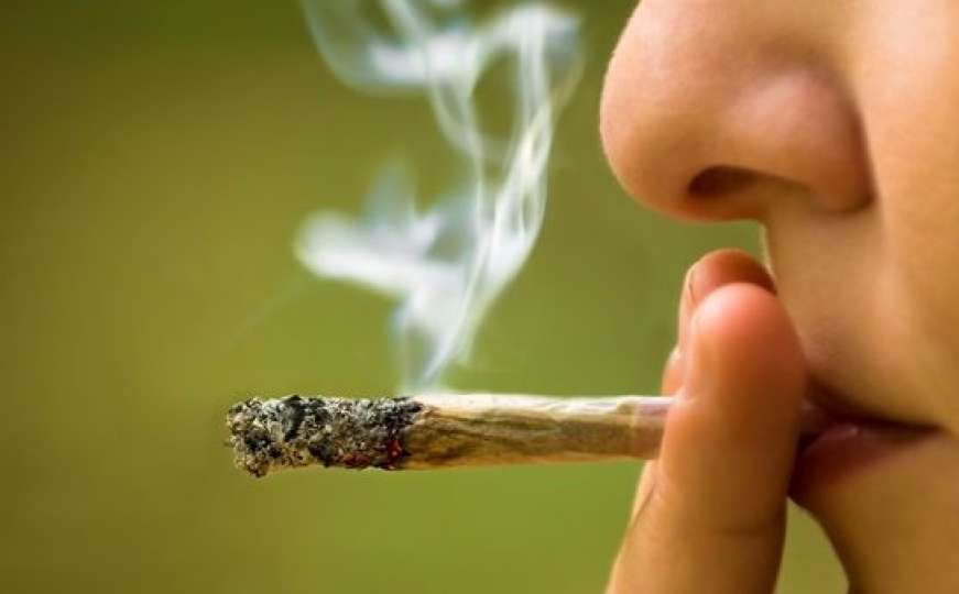 Bolji učenici češće konzumiraju marihuanu od lošijih