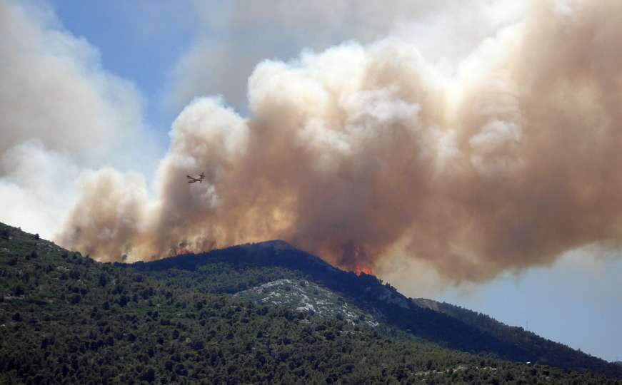 Sarajevo: Kazne do 1.500 KM za loženje vatre u šumama i u njihovoj blizini