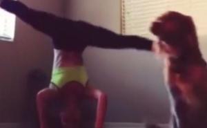 Kad joga krene po zlu... 