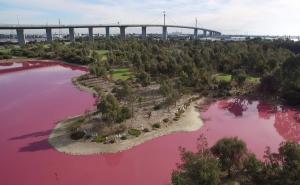Kako je jezero u Australiji postalo ružičasto