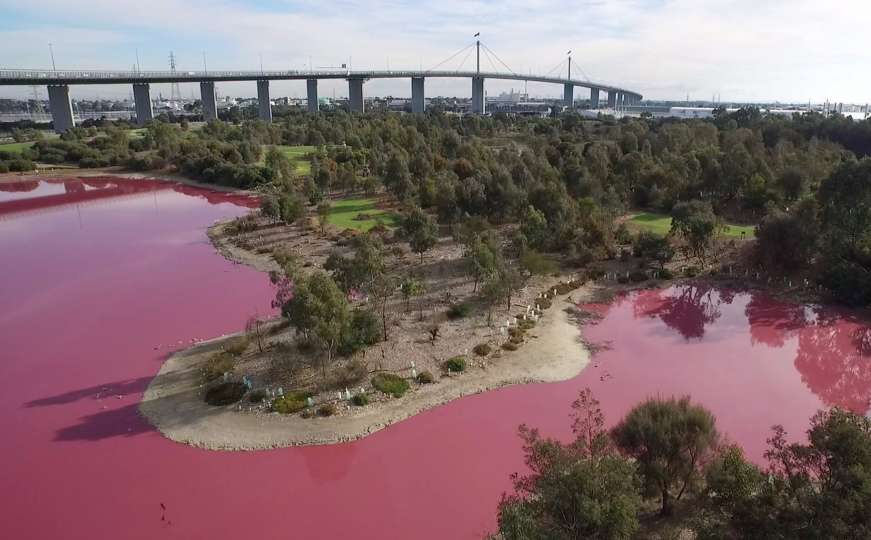 Kako je jezero u Australiji postalo ružičasto