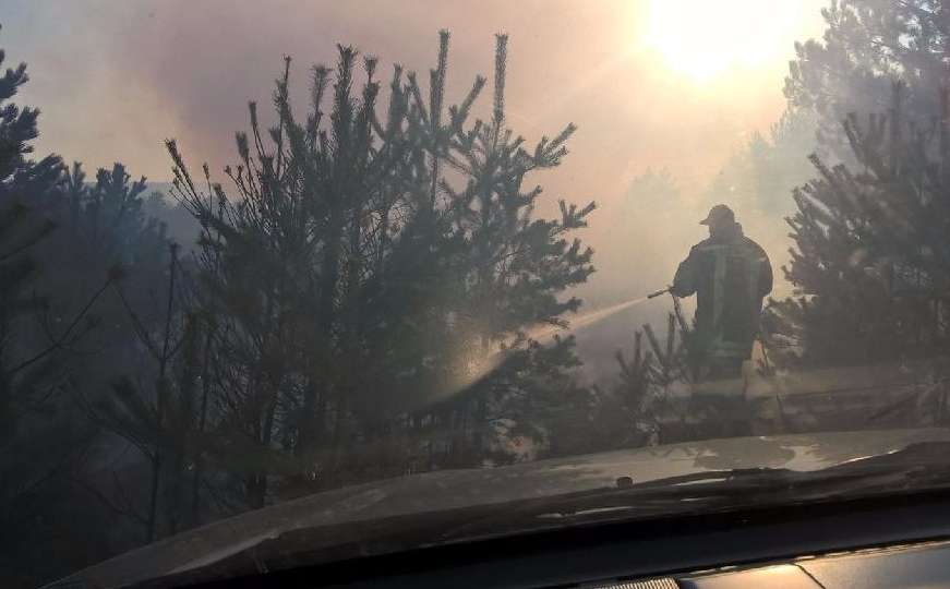 Vatrogasci ugasili opasan požar: Prijetio cijeloj šumi