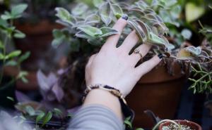 Kakvu energiju donosi prsten od majke ili od nekoga preminulog?