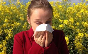 Pet načina da pobijedite proljetnu alergiju