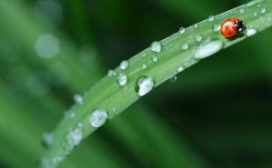 Ove stvari ne smijete raditi prva tri dana proljeća