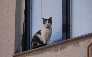 Danas sunčano - pročitajte kakvo će vrijeme biti do subote