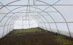 Općina Centar i ove godine dodjeljuje plastenike