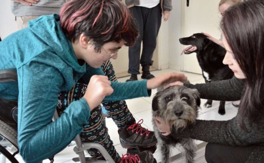 Spašeni sa sarajevskih ulica: Psi i mačke terapeuti za osobe s poteškoćama