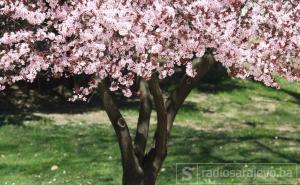 Uživajte u sunčanom jutru, ali poslijepodne ne zaboravite kišobran!