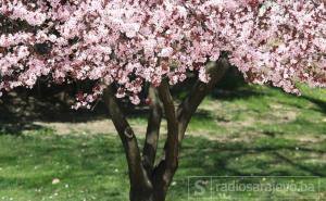 Jutros u Mostaru 18 stepeni - poslijepodne u Sarajevu moguća kiša