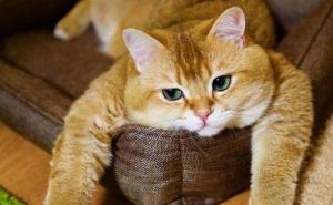 Deset snova čija značenja ne smijete ignorirati