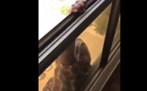 Okrutna gazdarica snimala sluškinju kako pada sa sedmog sprata