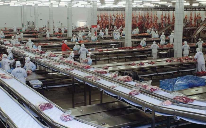 Žitarice u Burkini Faso, meso u Hong Kongu: Na koje sve kontinente BiH izvozi hranu