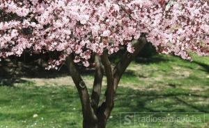 Meteorolozi za danas najavili promjenu vremena - pročitajte prognozu do subote