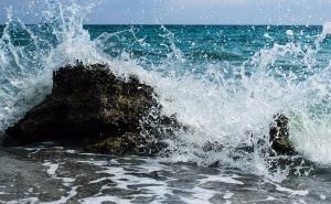 Freudov test: Odgovorite na 8 pitanja i zavirite u svoj mozak 