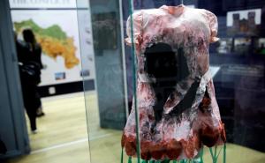 Tokom agresije na BiH ni djeca nisu bila pošteđena 