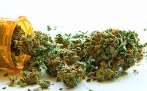 S kanabisom u džepu pomilovao policijskog psa pa završio u zatvoru